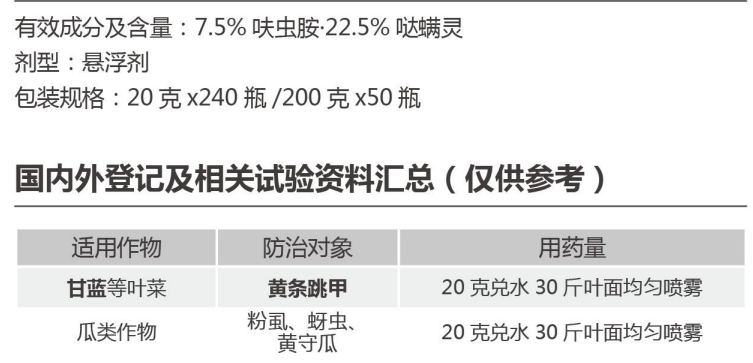 跳跳龙